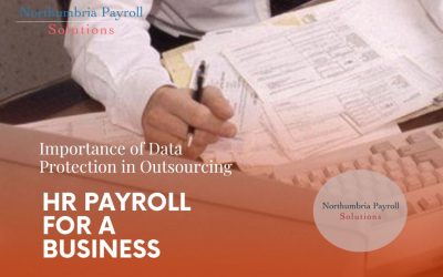Importance of Data Protection in Outsourcing HR Payroll for A Business